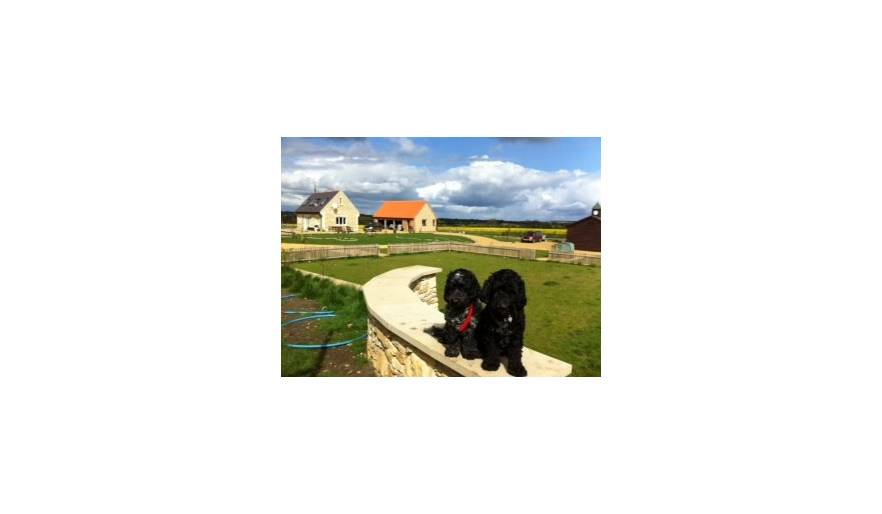 Bentley and Brewster - at home!