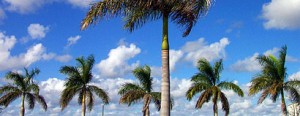 florida_keys