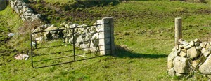 stone_fence