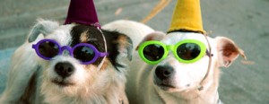 two_dogs_party_hats two_dogs_party_hats
