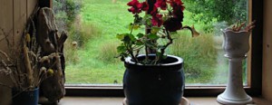 window_sill_01