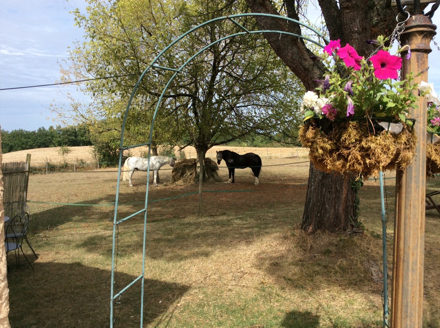mindmyhouse looking for a sitter or sitters for early september looking for a sitter