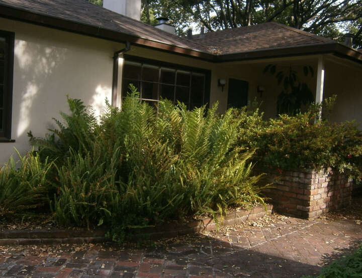 house sitting holidays