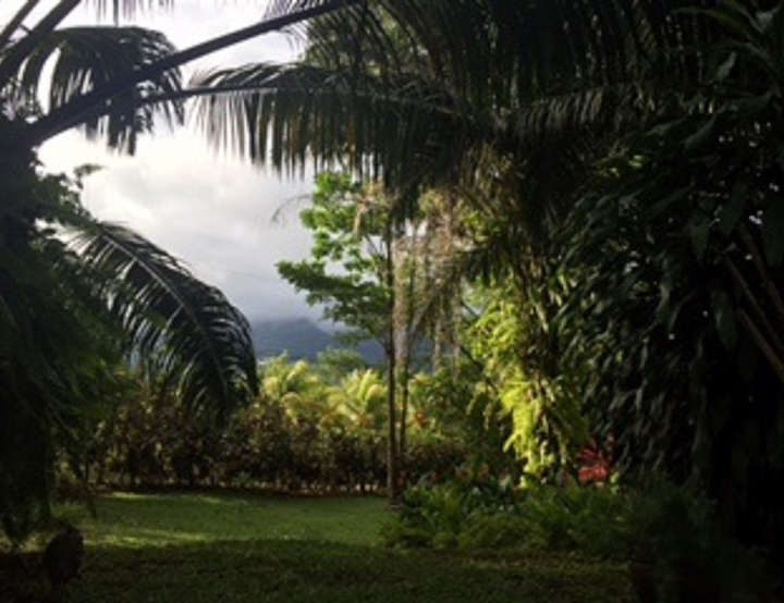 gardens