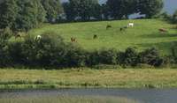 River Shannon