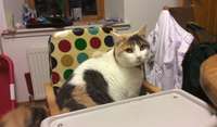 Where is my food?