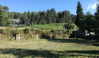 our back  garden