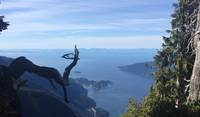 A short drive up Cypress Mountain followed by an hour long hike takes you to this gorgeous view!