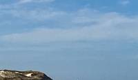 View of lighthouse from Cape Henlopen State Park