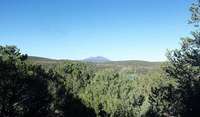 view from back window