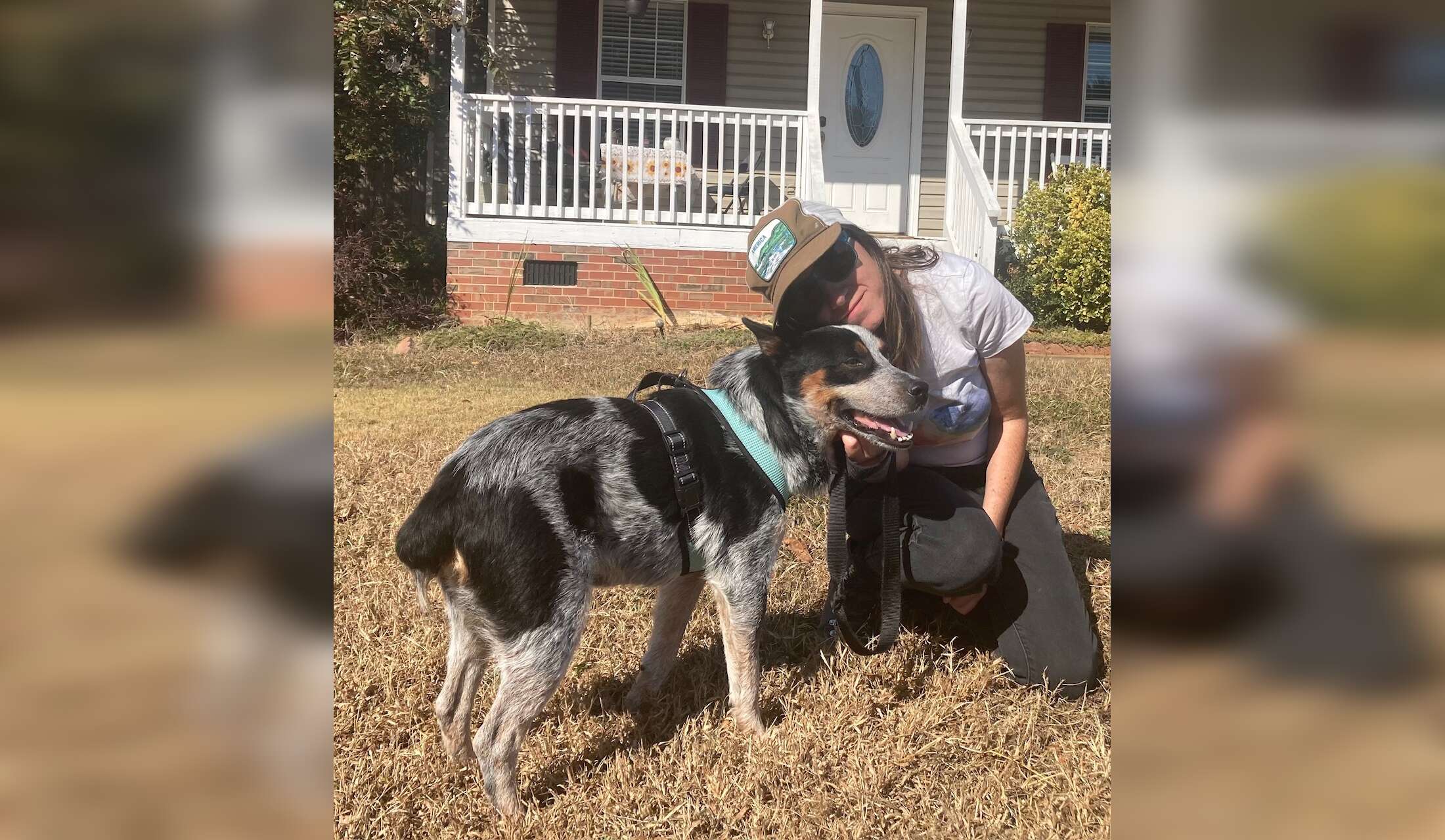 MindMyHouse Your Pet's Best Friend