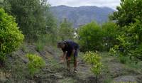 gardening in Spain