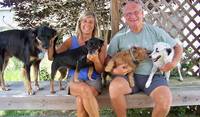 We cared for these four dogs, all rescued from the streets, on the Caribbean island of Vieques, Puerto Rico.