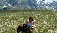 Keena and Montreal (Guide Dog Pup in Training) in Colorado.