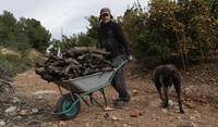 Jon and Sol gathering firewood.