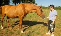 Moira giving Silver treats in Tuscany, Italy