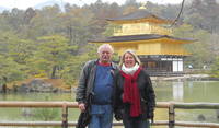 Kyoto Japan while sitting 3 cats