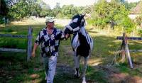 helping a neighbor moving a young Irish Cob mare from the paddock to the barn for the evening...