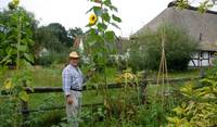 in my garden at the country farm house in Germany...