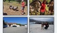Estate and horse care in São Teotónio (Portugal) and house and pet sitters in Alhaurin el Grande (Spain).