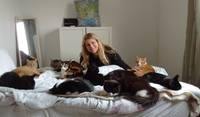 Taking care of 38 abandoned cats in Spain.Reference available upon request.