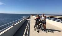 Cycling Enthusiasts - Florida HouseSit