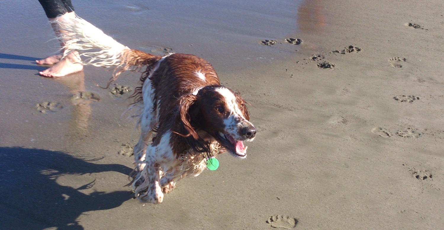 Ella at Petone beach 2015